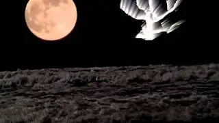 Moonlit Tears Spoken Word Poetry Dark Poetry