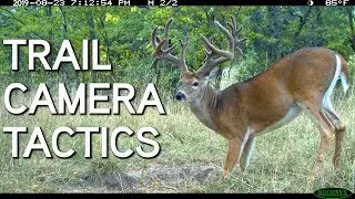 Trail Camera Strategy | Tactics and Placement