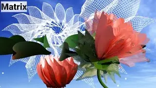 Matrix (Blender Addon) &ndash; Matrix Transformations/Repeat Zones &ndash; Leafs Blossoming Out (Geometry Nodes)