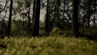 Decommissioned Forests - Impermanent State (2022 Mix)