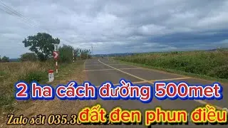 2 ha đường xá thuận tiện phun cây đào...