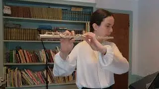Fantasia No  6 Telemann