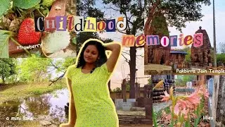 Revisiting my childhood, a village vlog | village lifestyle, nostalgic, life after boards