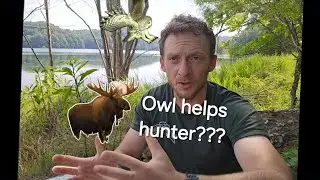 Did he kill the moose? Timber talks about Episode 4