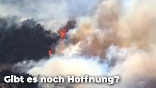Darum brennt Australien! - Folgen von Klimawandel - Clixoom nature