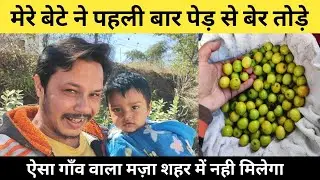 Awesome Village Life With Nitin Uploader Son | इस पेड़ के बेर कच्चे भी मीठे | गाँव के शुद्ध देसी फल
