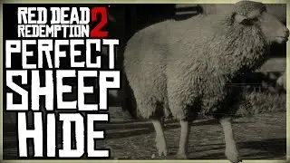 КАК ПОЛУЧИТЬ ИДЕАЛЬНУЮ ОВЕЧЬЮ ШКУРУ - RED DEAD REDEMPTION 2 ОХОТА НА ДЕЙСТВИТЕЛЬНЫХ МЕРИНОСОВЫХ ОВЕЦ