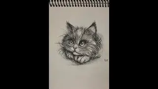 Full tutorial video drawing a cute cat with a pencil