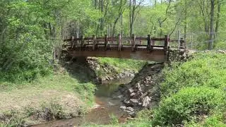 99999 Emmas Grove Road, Fairview, NC