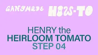 HOW-TO / Henry the Heirloom Tomato / STEP 04