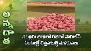 Seed treatment for rabi crops | ETV