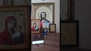 Преподобный Иосиф Многоболезненный, Печерский. В Дальних Пещерах#житиясвятых