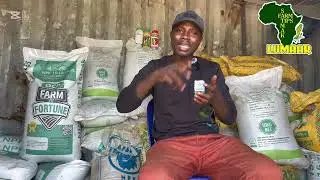 FERTILIZER APPLICATION FOR SOYBEANS/ LEGUMES: 🫘🫘🫘