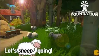 SHEEP and other IMPROVEMENTS to EARN MONEY | FOUNDATION #02