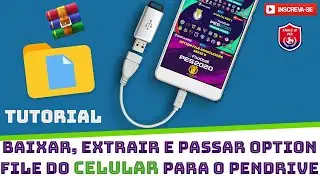 Tutorial baixar, extrair e passar option file do celular para o pendrive