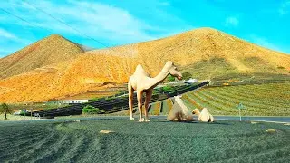 YAIZA CINEMATIC VIEW
