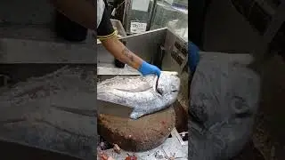 Butterfish Clean Skills#Shorts
