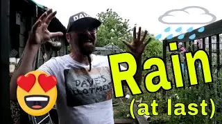 It's RAINING! My First FAILURE of 2023. What Went Wrong? Dave's Allotment Garden. June 2023