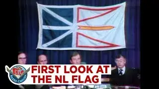 First look at the N.L. flag, 1980