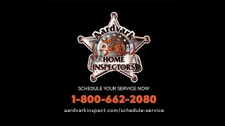 Mold Remediation - Aardvark Home Inspectors Inc.