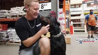 Rottweiler Trainers Phoenix I Phoenix Dog Training I Rottweiler Training Arizona I Before & After
