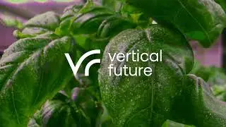Join the Vertical Future, Today