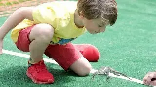 'Jump those frogs!': Scores of kids race frogs at Rock Hill annual springtime festival