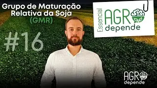 16° AD Essencial - Grupo de Maturação Relativa da Soja (GMR)