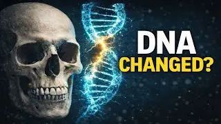 Ancient Human DNA Changed Faster Than Evolution Predicts