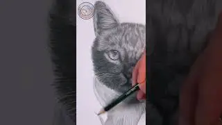 HOW TO DRAW A CAT USING SOFT & HARD CHARCOAL PENCIL ✏️ #  short
