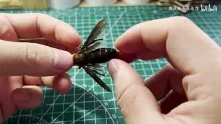 Evolutionary Bumblebee, manual mechanical modification
