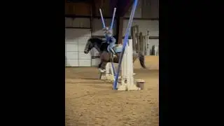 I LOVEREEEERE THIS JUMP 💖💖💖 #horse #equestrian #jumping