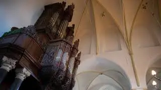 J.S. BACH: TRIO IN G MAJOR, BWV 1027a | GERBEN BUDDING