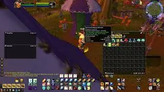 How to get the Best Darkmoon Faire (DMF) World Buff for a Healer - WoW Classic Era