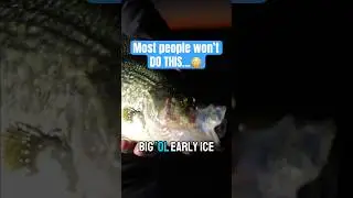 Would you be THIS PATIENT for GIANT CRAPPIE??? #Walleye #walleyefishing #fishing #shorts