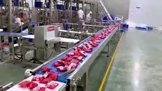 120g-2500g steamed bun pastry frozen food packing machine small business packaging system