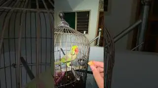 Mithaa jee enjoy karte hoe😎 #danivlogs #funny #fyp #viral