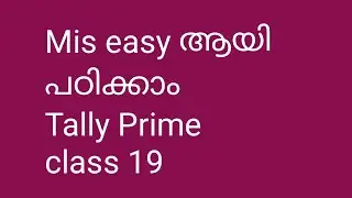 MIS  IN TALLY PRIME class 19