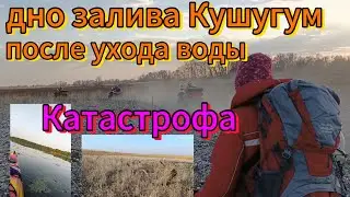 Высохло дно залива Кушугум после ухода воды г. Запорожье это Катастрофа