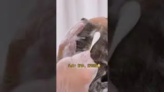[ASMR💤] Soothing Shampoo & Hair Treatment, Scalp Care | Intense Relaxation | No Talking