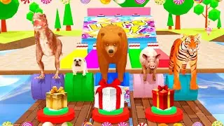 Pug, Dinosaur, Pig, Tigers, Bear, Choose the right room.  FIND YOUR GIFT.  Animal Cage Game