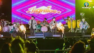 LOS TIGRILLOS EN VIVO DESDE GENERAL TER&Aacute;N, NUEVO LE&Oacute;N (2023)