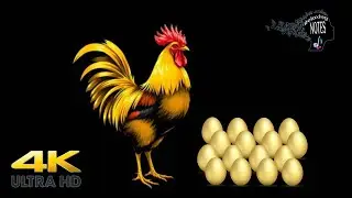 4K Golden Rooster with Golden eggs - Music to Attract Money and Wealth in abundance #asmr