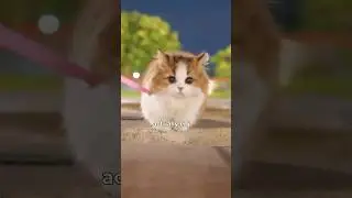 Как выгуливать кошку #факты #уходзадомашнимиживотными