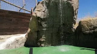 Hotel Magic natura Benidorm###mandar ghzal macha llah❤️‍🩹❤️‍🩹