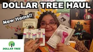 Dollar Tree Haul October 28 2019 - New And Interesting Items!!!