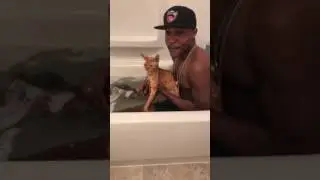 Ravioli Cat Bath Rap