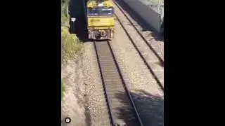 Hero saves the dog tied to train tracks😍 ll Poor dog 😭#shorts #rescuedog #animalrescue