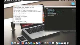 How to Create MySQL Database Xampp Terminal Mac