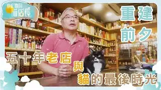 九龍城老店當值貓店長｜他和她的喵店長｜炎明熹｜貓｜TVB | Gigi